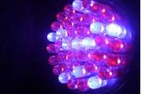 Acne 415nm LED Blue & Red 660nm Light Therapy